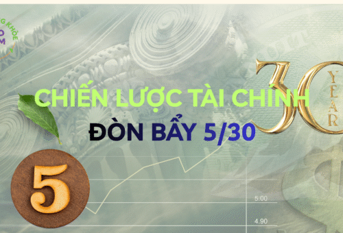 Baohiemsongkhoe Chien luoc 530 scaled